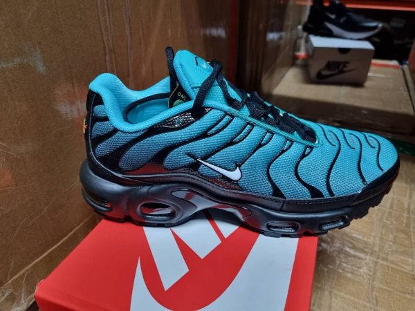 Nike Air Max Plus Blue Gradient Trainers For Men's